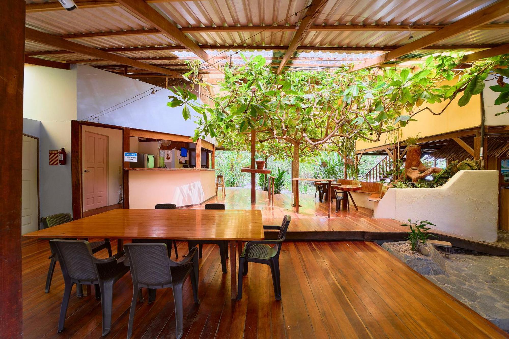Cabinas Montesol Puerto Viejo de Talamanca Экстерьер фото